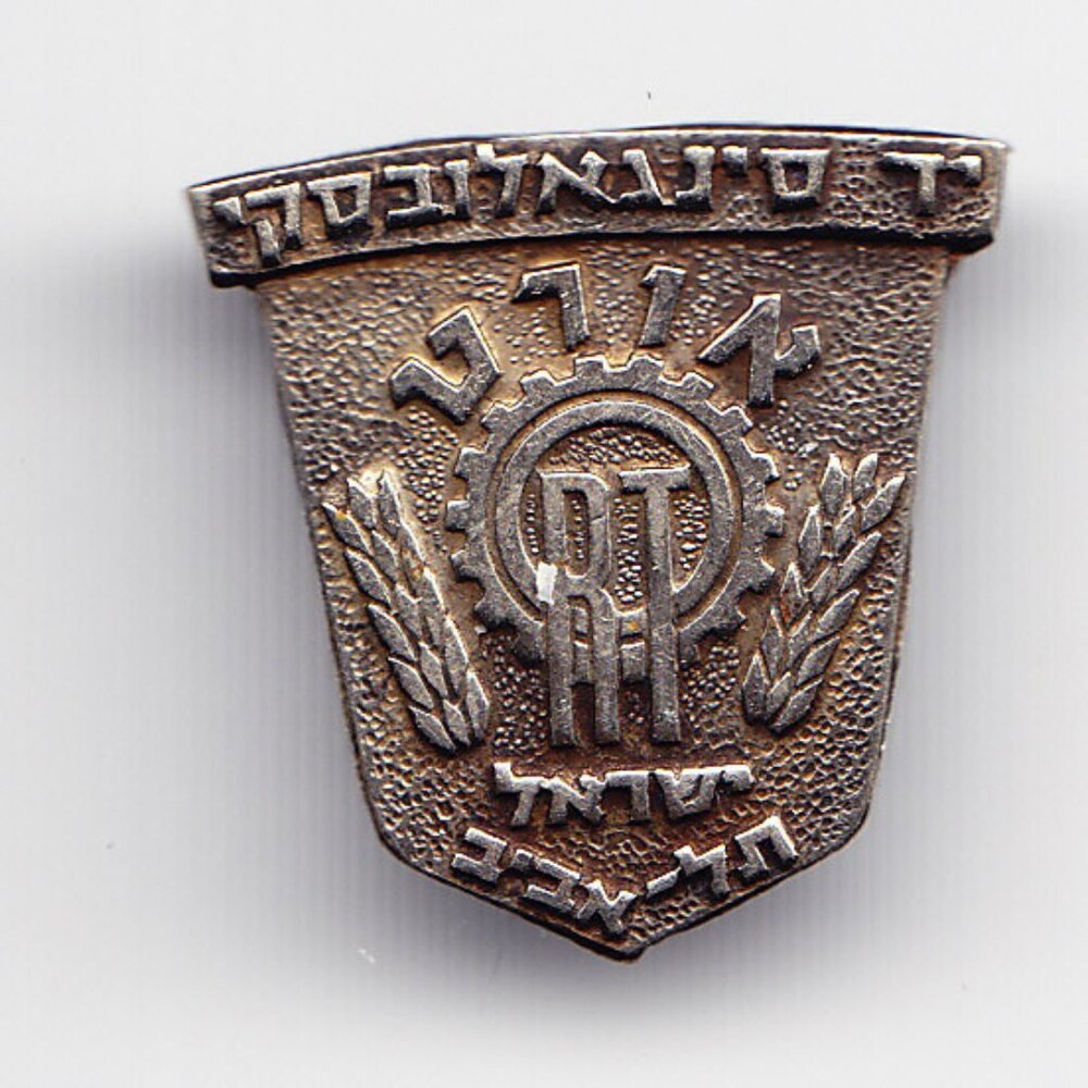 Israel Pin 19mm x 18mm(b67)